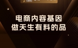 电商内容基因：做天生有料的品