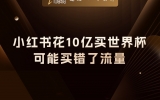 贾真：小红书花10亿买世界杯，可能买错了流量