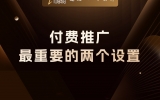 贾真：付费推广最重要的两个设置，投产比目标和预算