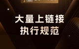 贾真：大量上链接执行规范