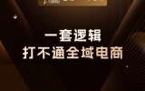 贾真：一套逻辑打不通全域电商