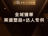 全域爆单：渠道塑品 + 达人专供