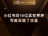 贾真：小红书花10亿买世界杯，可能买错了流量