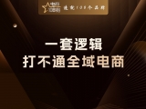 贾真：一套逻辑打不通全域电商